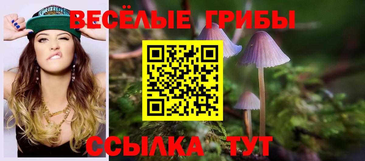 Псилоцибиновые грибы прущие грибы  как найти закладки  Архангельск  Вход с VPN 