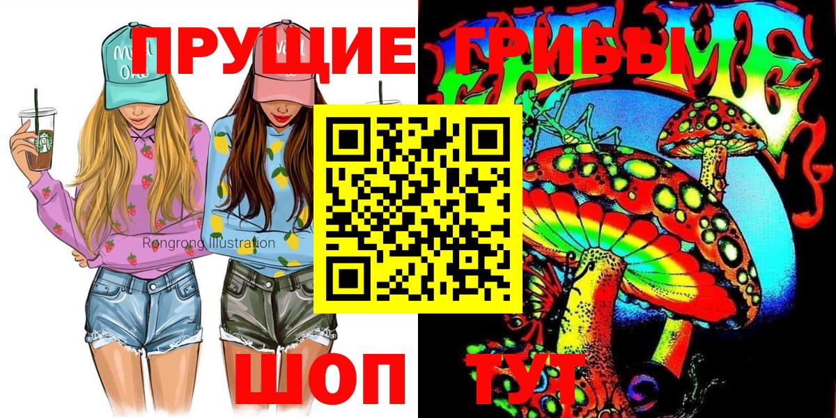 Псилоцибиновые грибы Psilocybe Архангельск